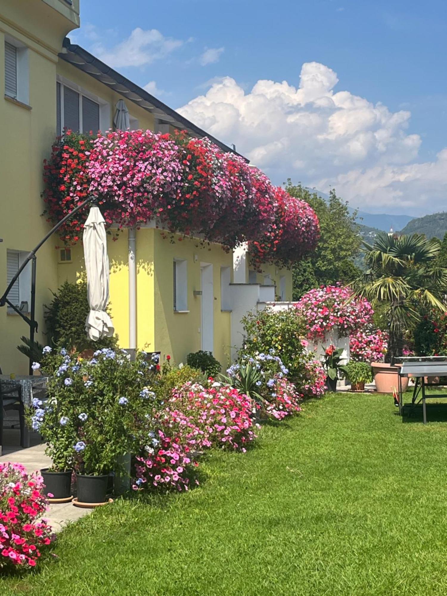 Gartenhof Lägenhet Brixen Exteriör bild