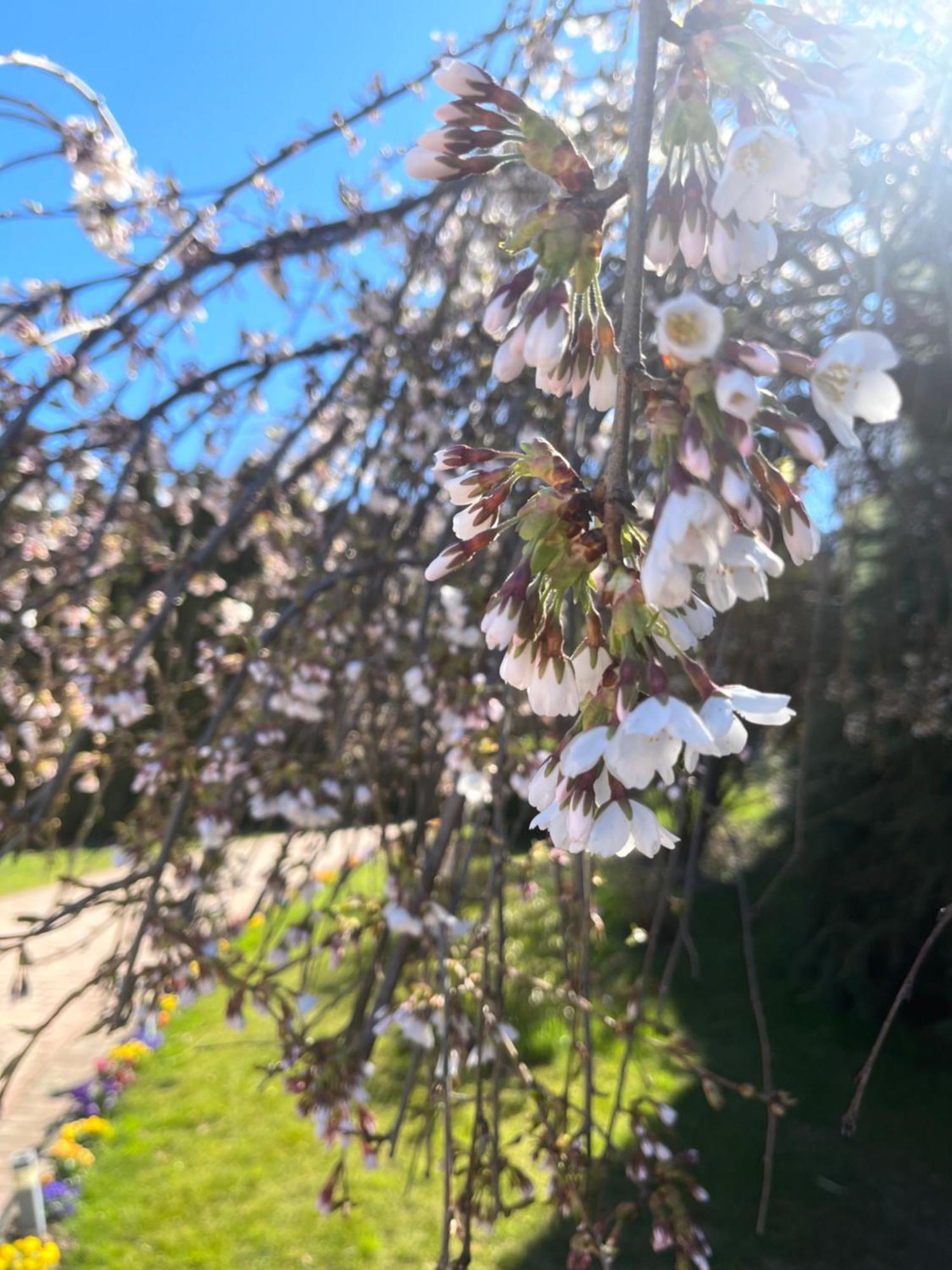 Gartenhof Lägenhet Brixen Exteriör bild